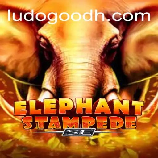 ludogood Exclusivo