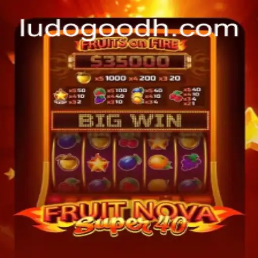 ludogood Casino App